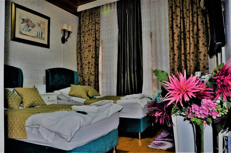 The Trip Old Hotel Istanboel